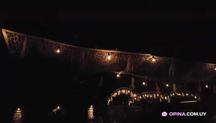 Morrison Resto Bar -  Videos - Salto