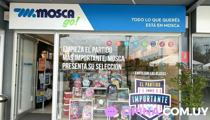 Mosca - Ciudad De La Costa