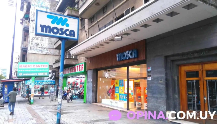 Mosca -  Del Propietario - Montevideo