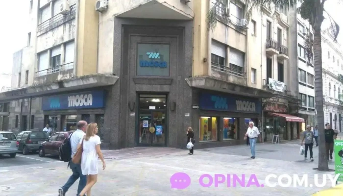 Mosca -  Del Propietario - Montevideo