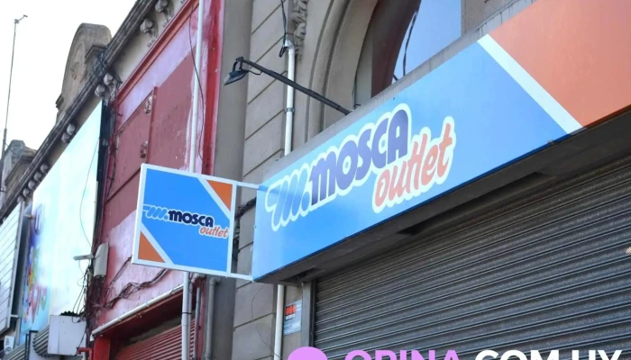 Mosca -  Del Propietario - Montevideo