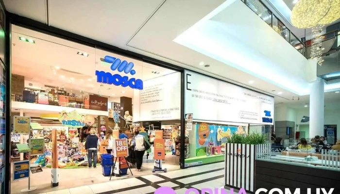 Mosca -  Del Propietario - Montevideo