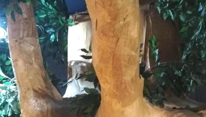 Mosca -  Donde - Montevideo