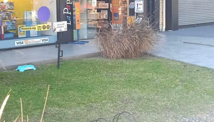 Mosca Hnos -  Direccion - Montevideo