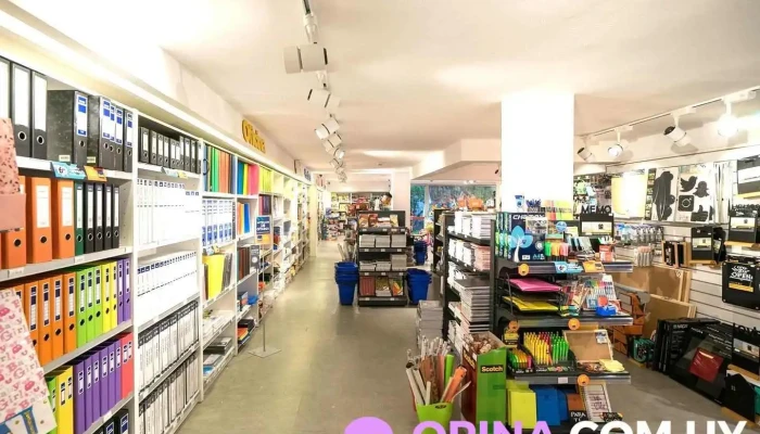 Mosca Hnos -  Interior - Montevideo