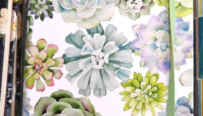 Mosca -  Interior - Montevideo