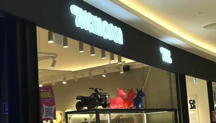 Mosca -  Mas Recientes - Punta del Este