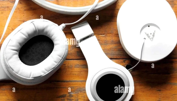 Mosca -  Numero - Las Piedras