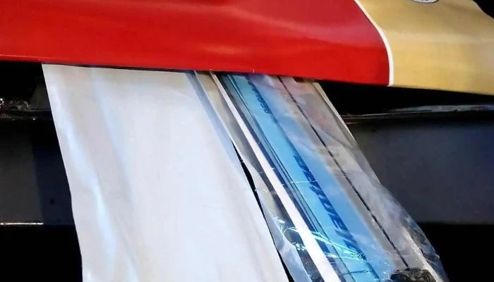 Mosca -  Papel - Montevideo