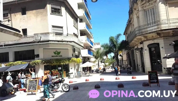 Mosca -  Videos - Montevideo