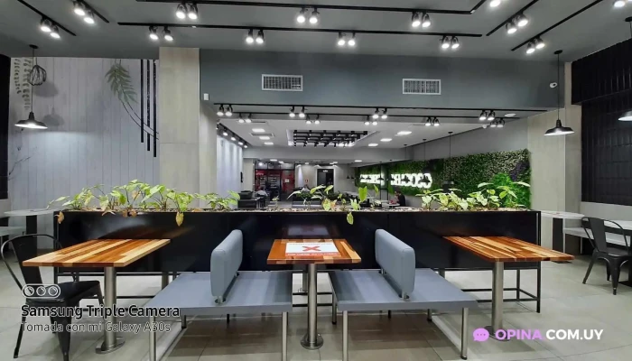 Mostaza -  Todas - Montevideo