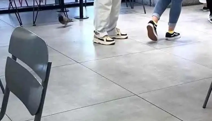 Mostaza -  Videos - Punta del Este