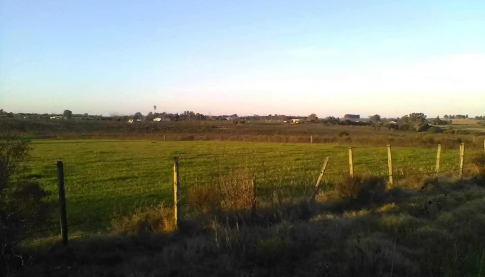 Motel Luz De Luna -  De Los Visitantes - Florida