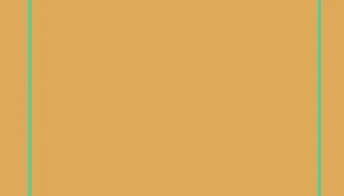 Ms Medicina Estetica Videos - Montevideo