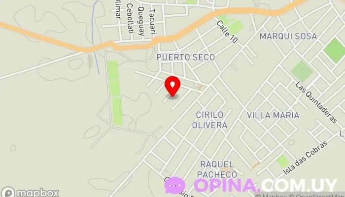 Muay thai - Rio Branco