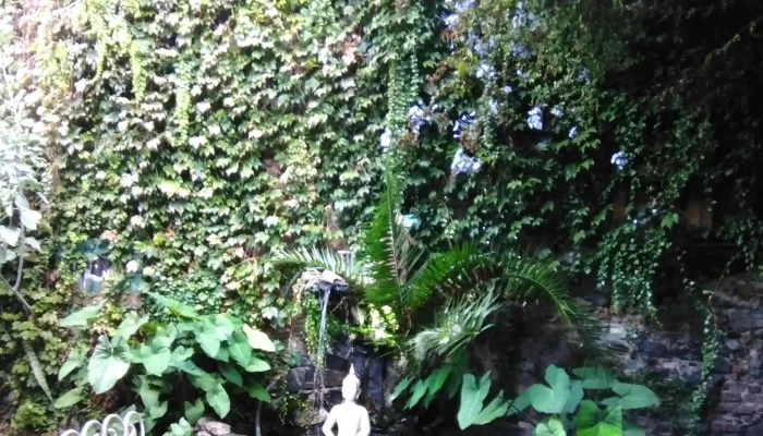 Muelle Viejo Comentario 3 - Col. del Sacramento