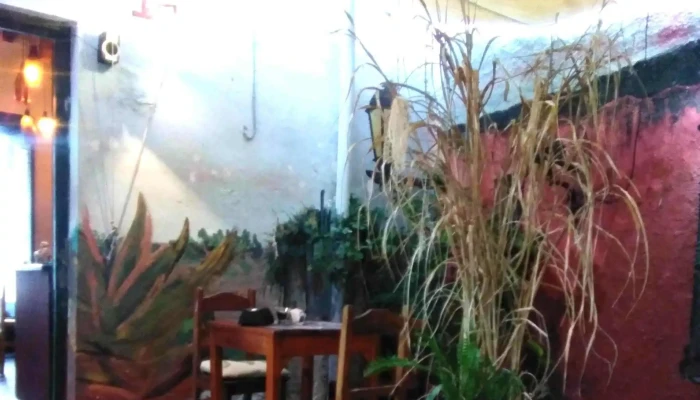 Muelle Viejo Comentario 4 - Col. del Sacramento