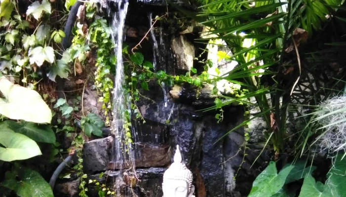 Muelle Viejo Comentario 5 - Col. del Sacramento