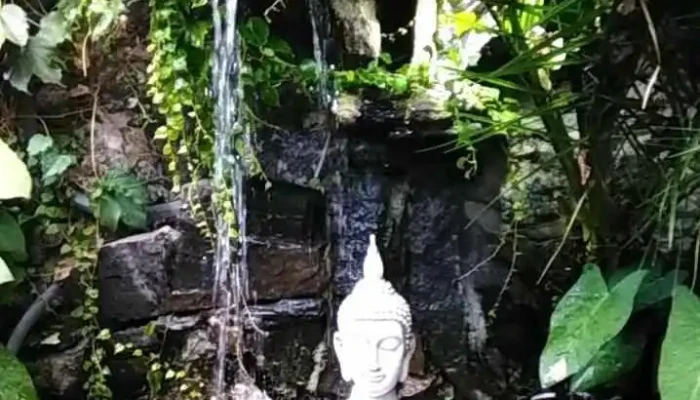 Muelle Viejo Videos - Col. del Sacramento