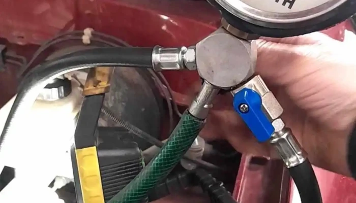 Mundo Papel Durazno -  Mas Recientes - Durazno