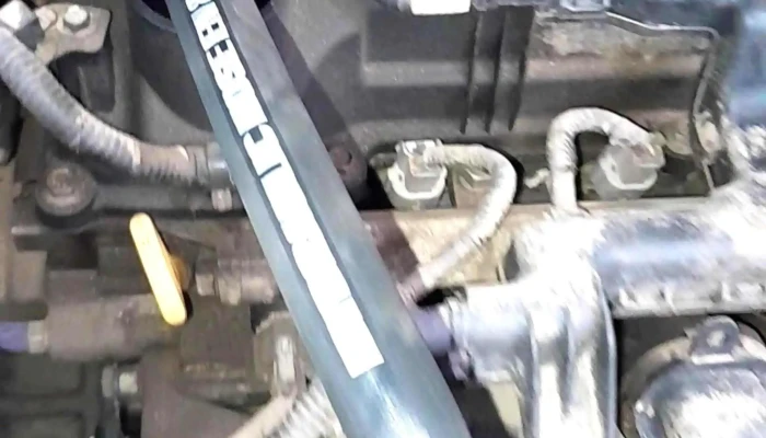 Mundo Papel Durazno -  Zona - Durazno