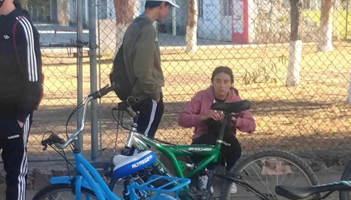 Municipio De Sauce -  Todo - Sauce