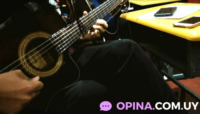 Musa -    Academia De Musica Del Propietario - Las Piedras