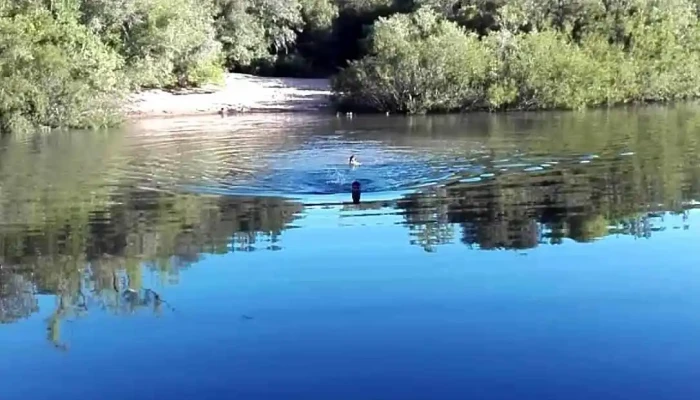 Museo Batalla Del Rio De La Plata Cuartel Paso Del Rey Videos - Sarandí del Yí