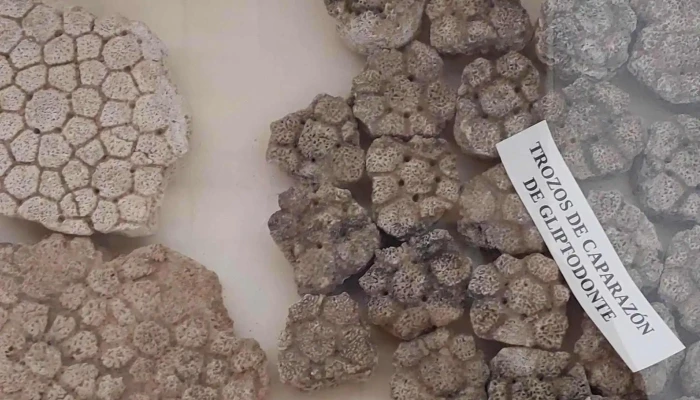 Museo Casa De Marfetan Catalogo - Villa Soriano