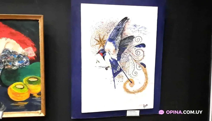 Museo Historico -  Casa De Artigas Videos - Sauce