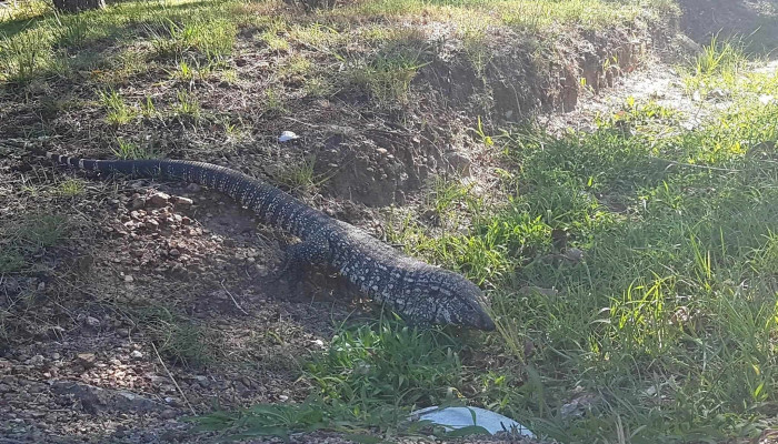 Museo Sherlock Holmes -  Comentario 3 - La Tuna