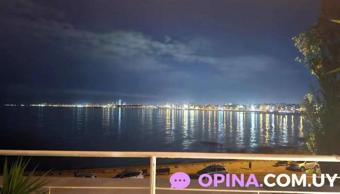 Mvd Negocios Inmobiliarios -  Del Propietario - Montevideo