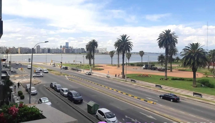Mvd Negocios Inmobiliarios -  Paisaje - Montevideo