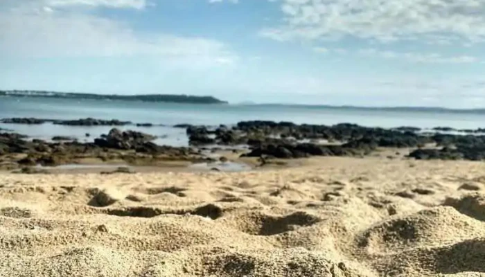 Nana Lavagna Propiedades - Punta Del Este