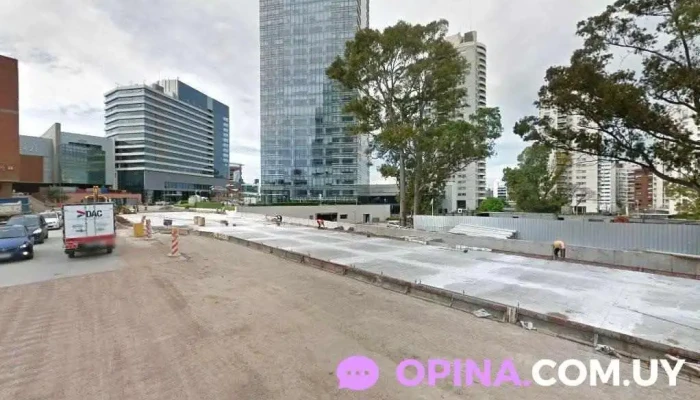 napa propiedades - Montevideo