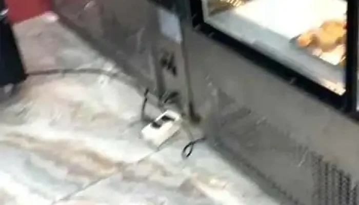 Napolis Confiteria Y Panaderia Videos - Piriápolis