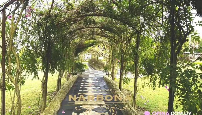 Narbona Wine Lodge -  Del Propietario - Carmelo