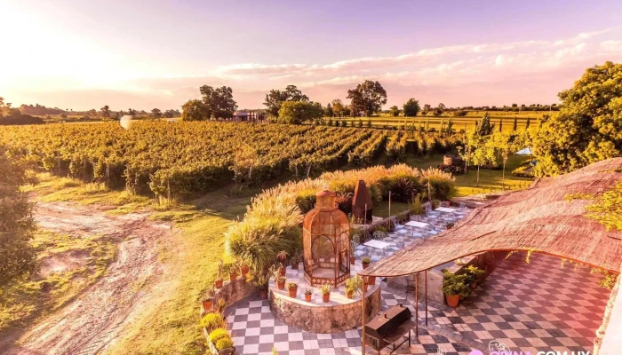 Narbona Wine Lodge -  Exterior - Carmelo