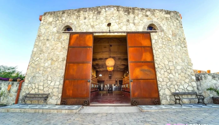 Narbona Wine Lodge -  Todo - Carmelo