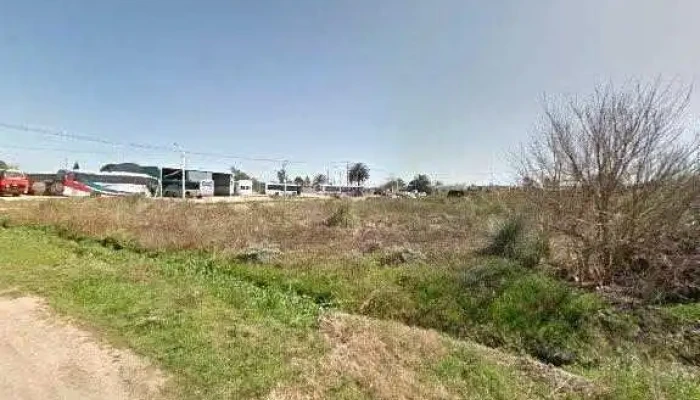 Natalia Libros -  Horariodeg - Sauce