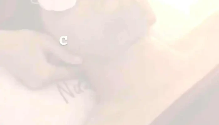 Natural Beauty -  Del Propietario - Montevideo