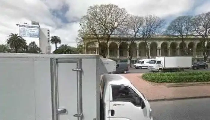 Natural Beauty -  Horariodeg - Montevideo