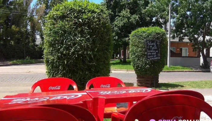 Natural Mystic -  Todas - Montevideo