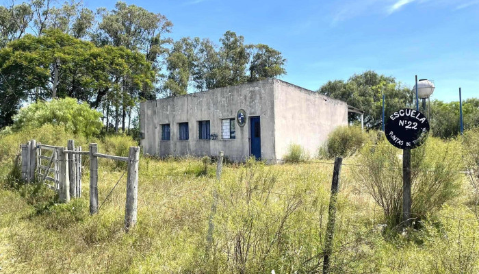 Ndeg22 Punta De Tamandua Sitio Web - Pintado Grande