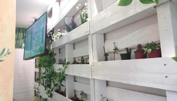 Nectarena Smoothies Cafe Tradicional Recientes - Montevideo