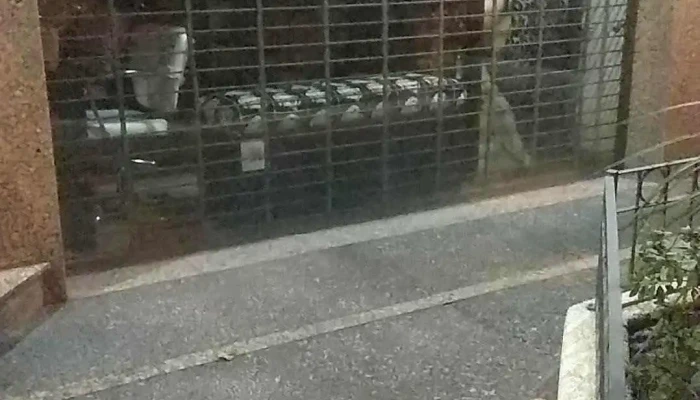 Negra María - 11300 Montevideo