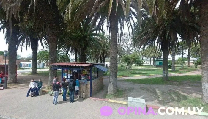 New Barber - Francisco Fiopito Y Luis A. De Herrera