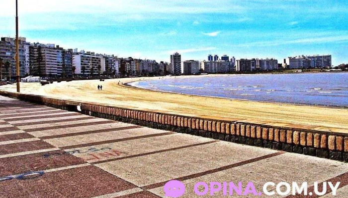 New Home Propiedades Oficina Pocitos -  Abierto Ahora - Montevideo