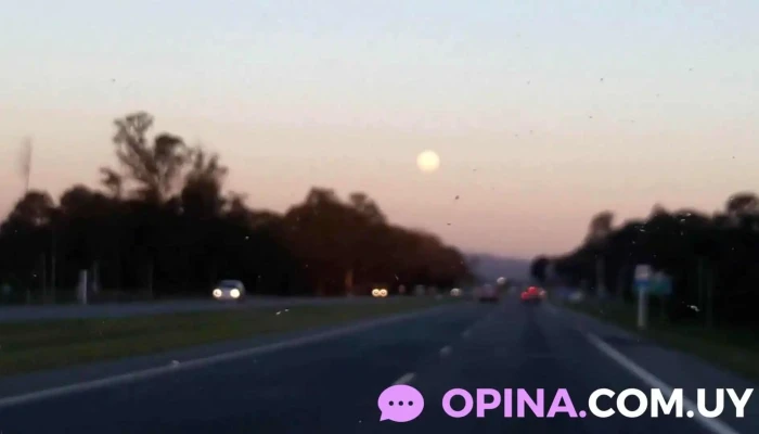 Ng Negocios Inmobiliarios -  Videos - Cuchilla Alta