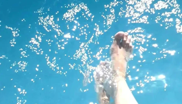 Niagara Inn -  Videos - Las Toscas